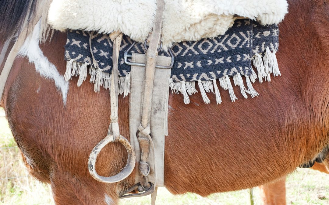 Training Your Horse for Trail Rides: Tips for a Safe and Enjoyable Journey