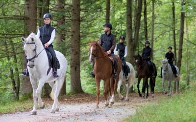 Essential Gear for Trail Riding: What Every Rider Should Pack