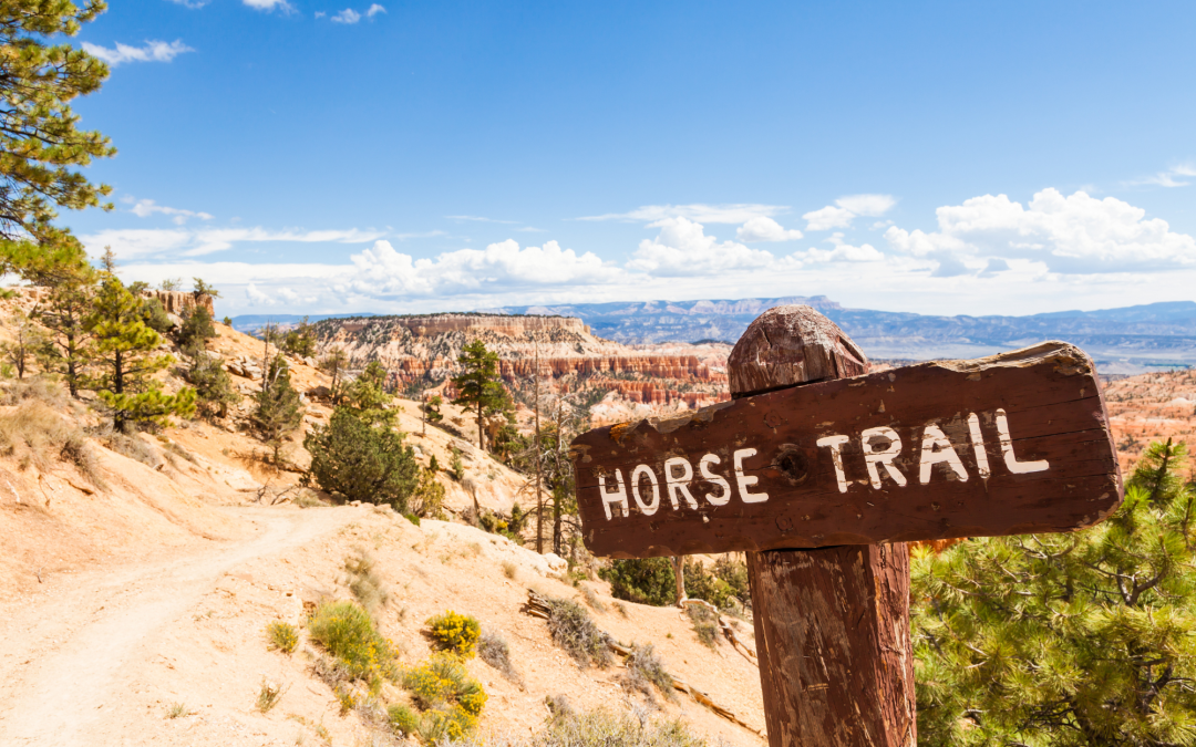 Top Scenic Trails for Horseback Riding: Exploring Nature on Horseback