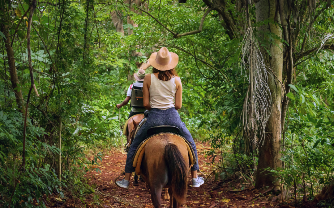 Trail Riding Etiquette: Unwritten Rules for Sharing the Trail