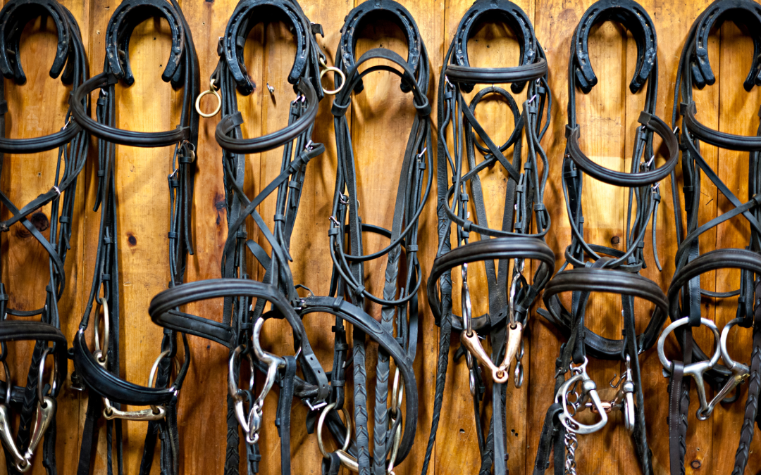 Tack Trends: The Latest Innovations and Styles in Horse Gear