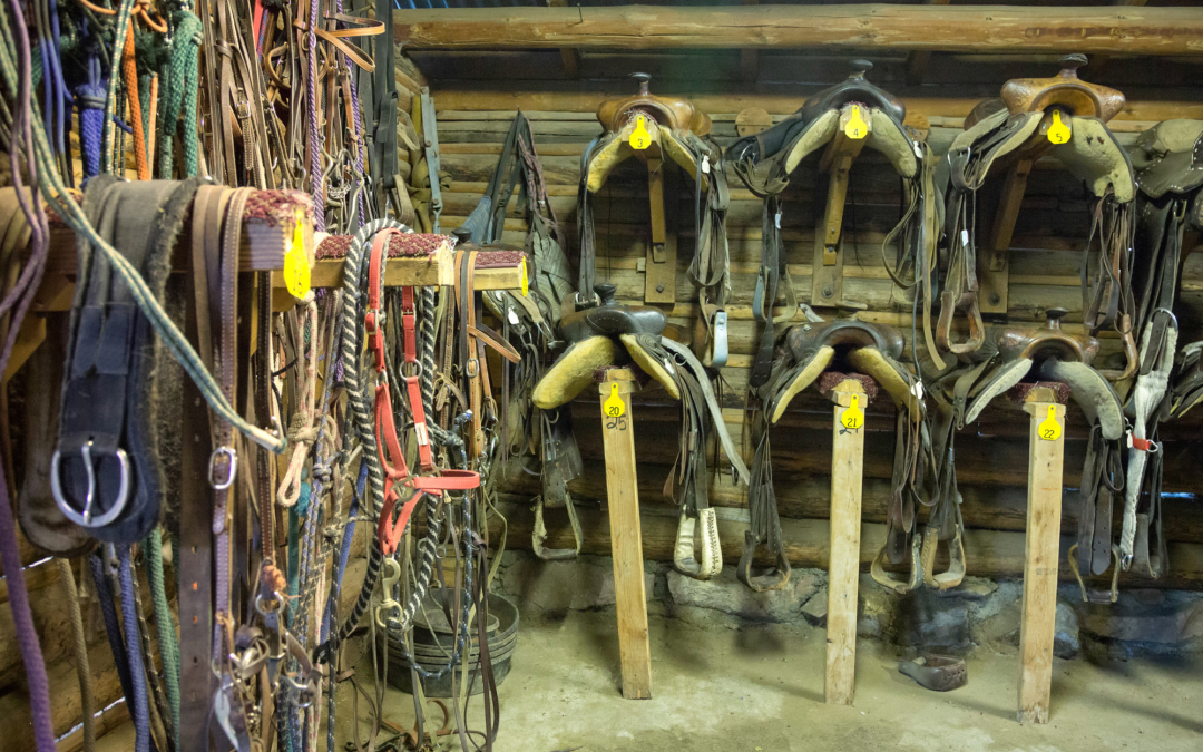 The History of Horse Tack: From Ancient Times to Modern Equestrian Equipment